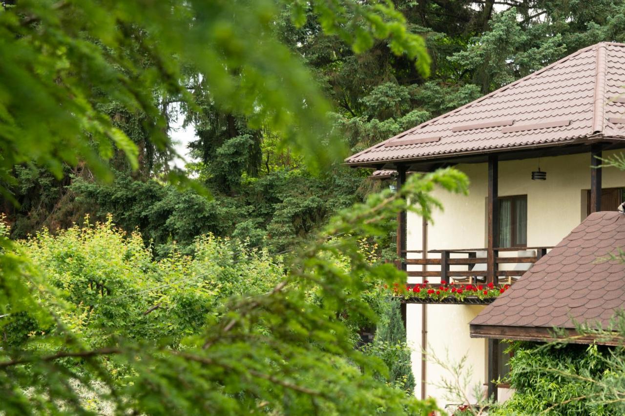 Pension Andra'S House Horezu Bagian luar foto