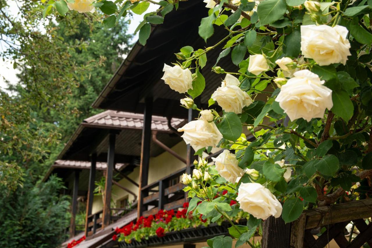 Pension Andra'S House Horezu Bagian luar foto