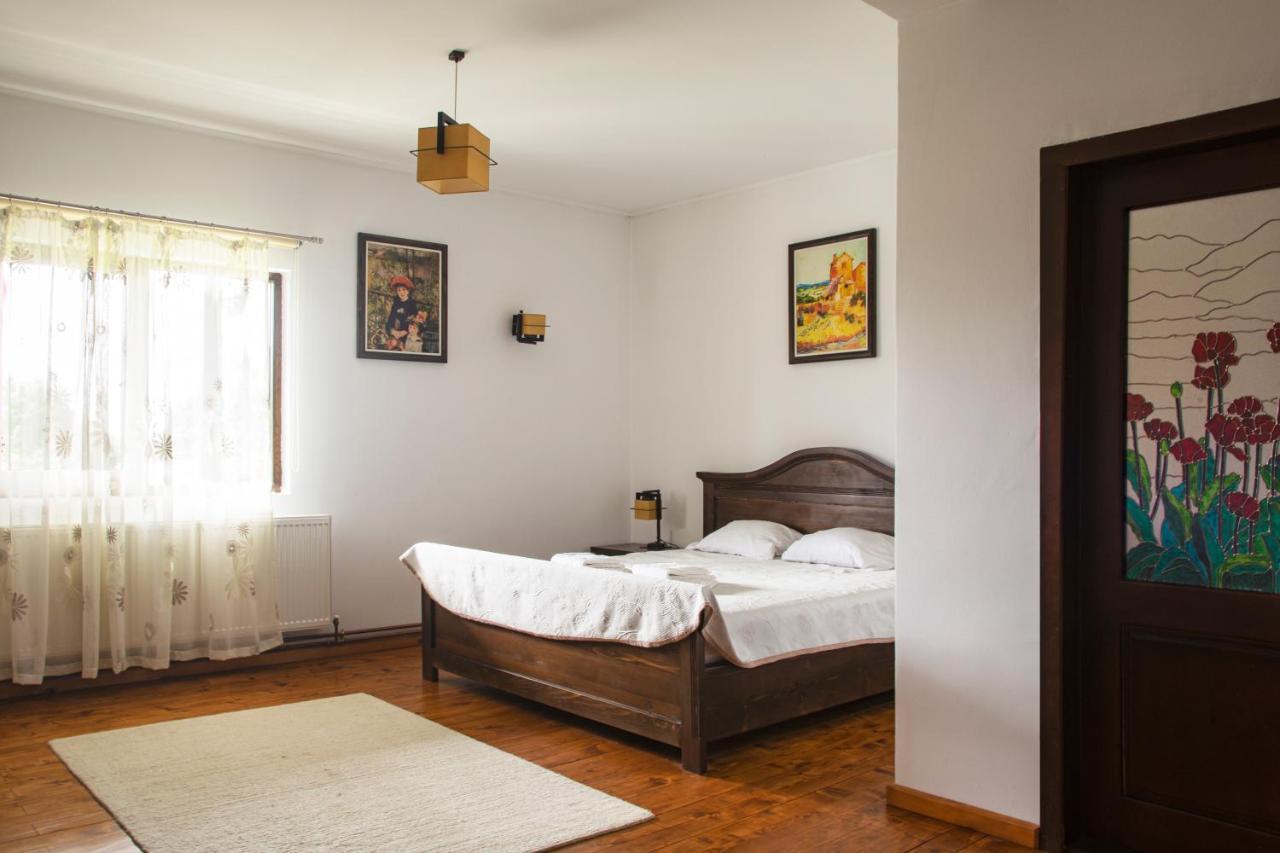 Pension Andra'S House Horezu Bagian luar foto