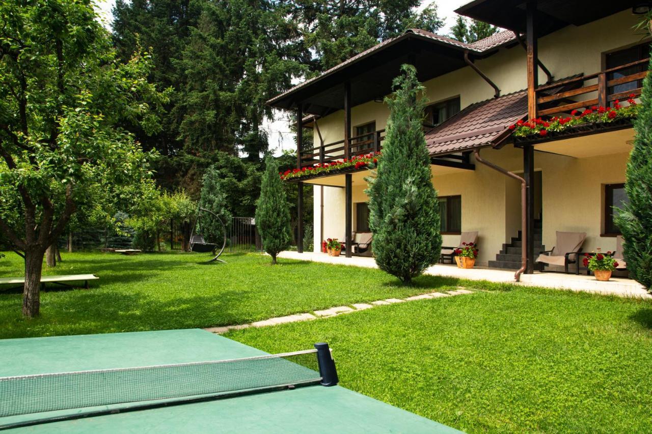 Pension Andra'S House Horezu Bagian luar foto