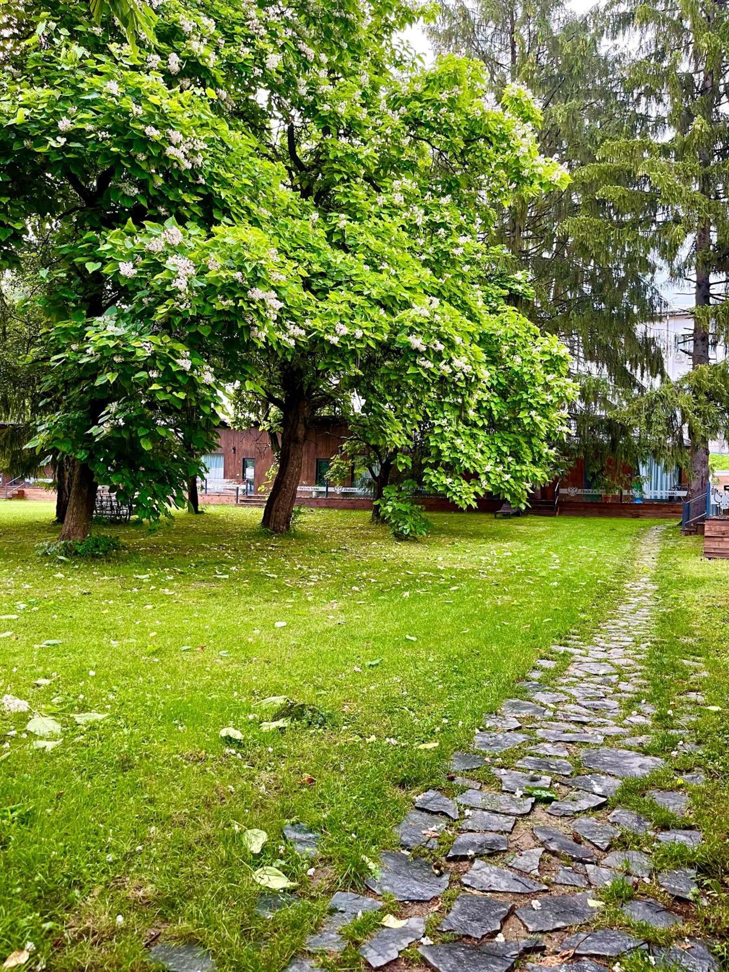 Pension Andra'S House Horezu Bagian luar foto
