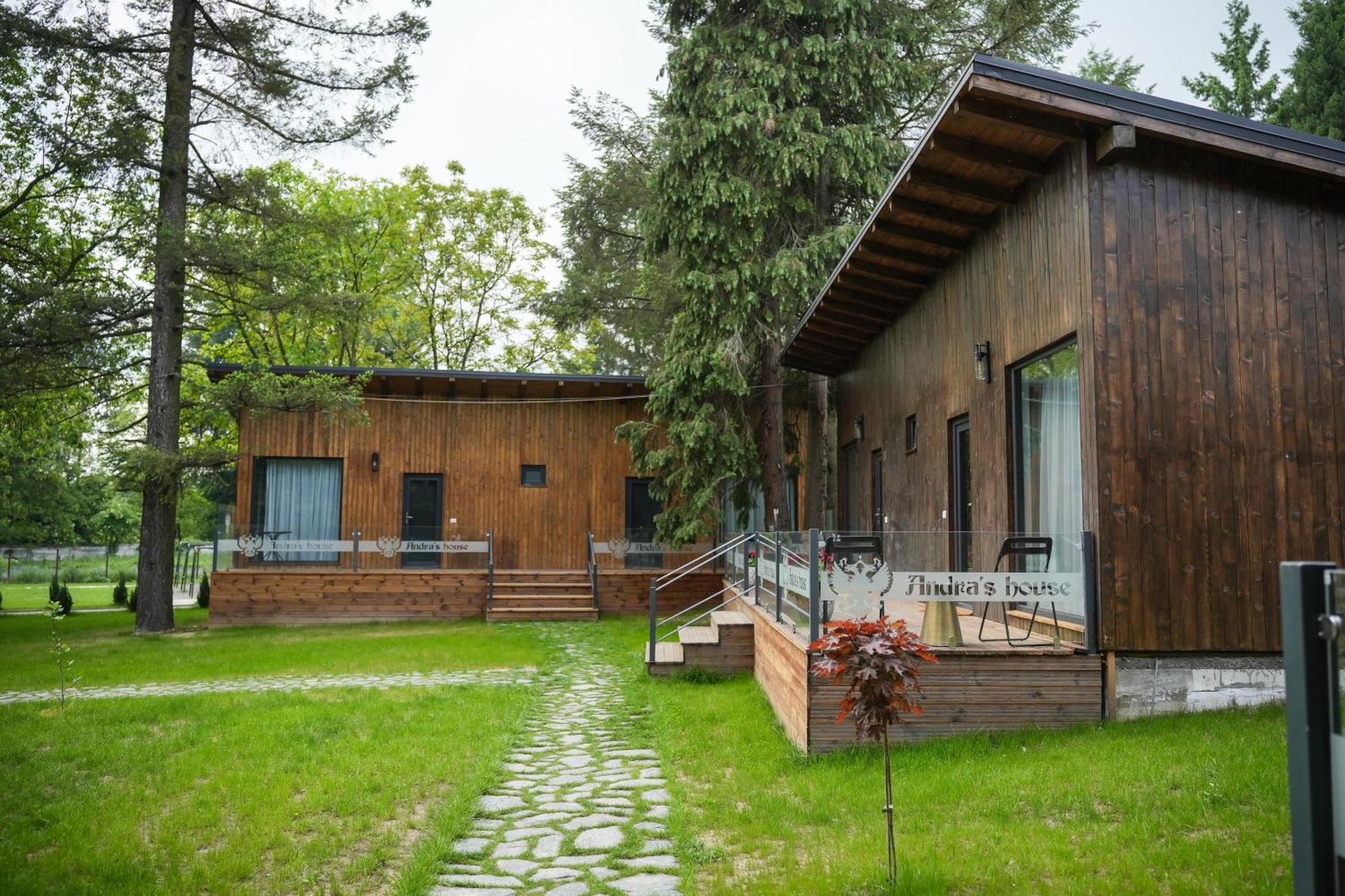 Pension Andra'S House Horezu Bagian luar foto